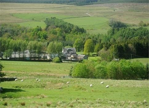 Abbotshaw House Farm B&B Newcastleton Extérieur photo